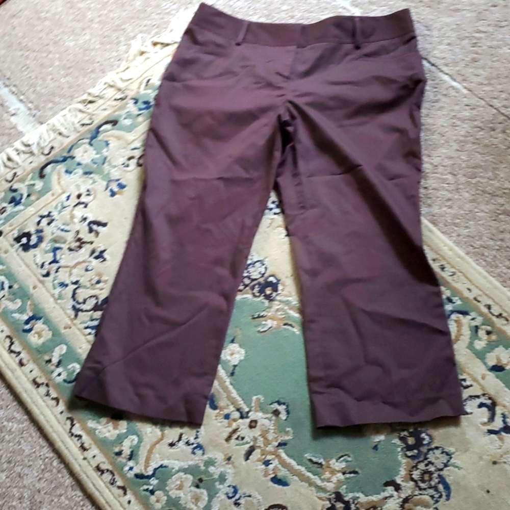 Womens BNWT!Express Capri's sz8 #Chocolatebrown